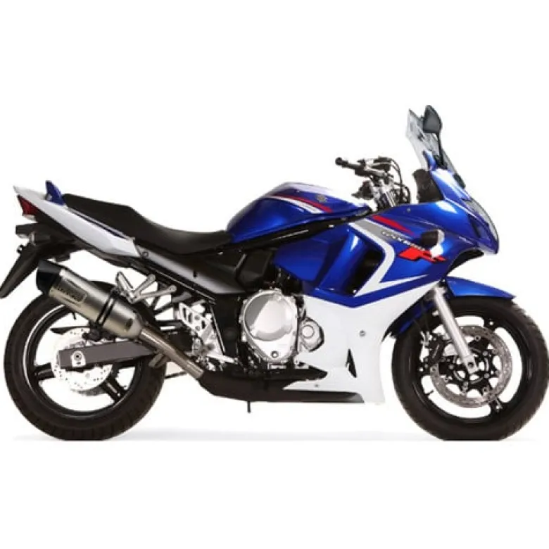 Tłumik LeoVince LV One Evo Slip-On Muffler Bandit 650